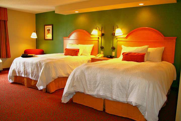 Hampton Inn Norfolk Habitación foto